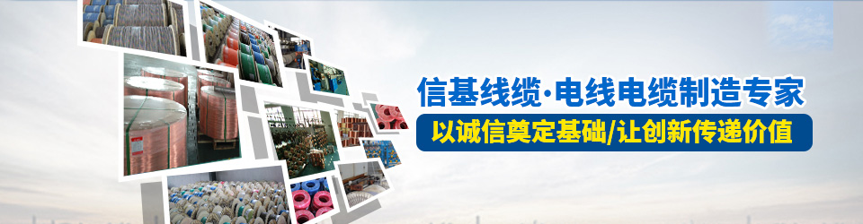 安防線(xiàn)纜